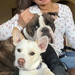 Meet your Posher, Gabby